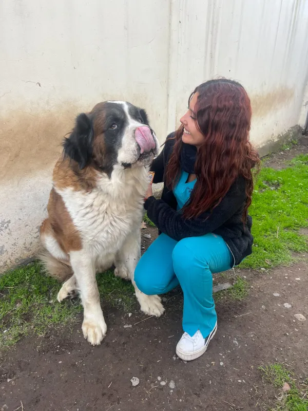Veterinaria a domicilio en Rancagua y Machalí - Dra. Sasso Vet